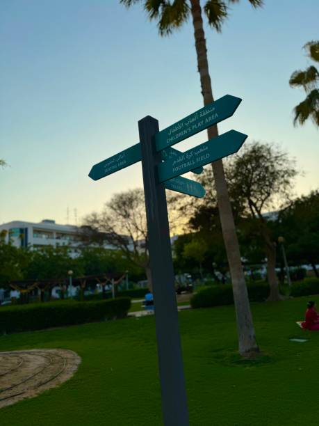 istock Arrows sign in the park for directions 2149650566