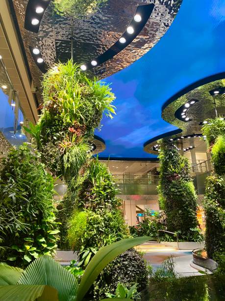 Singapore - Jewel Changi Airport the beautiful Singapore airport with a false ceiling of water and moving fish, in the middle of lush vegetation 12/27/2023