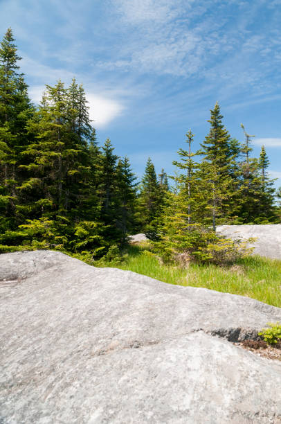 istock Pine Trees atop a rocky mountain 2149651758