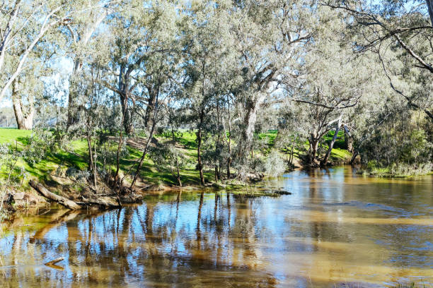 istock Campaspe River in Axedale in Australia 2149652169