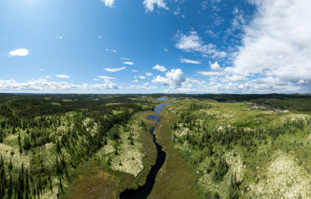 istock Boreal Forest Nature in Summer Season, Quebec, Canada 2149653686