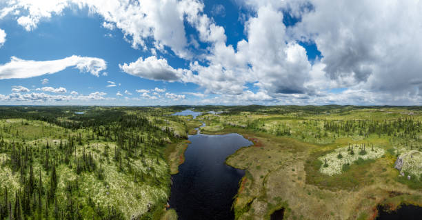 istock Boreal Forest Nature in Summer Season, Quebec, Canada 2149653753