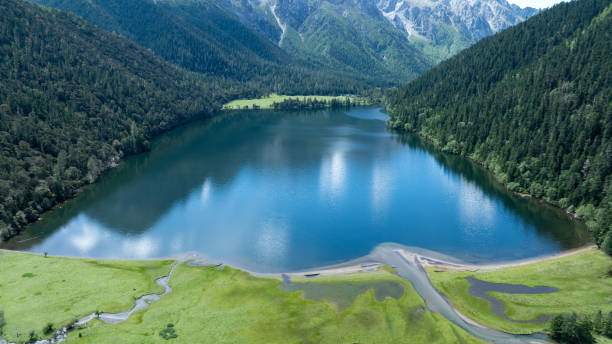 istock Aerial view of pine trees in beautiful forest landscape 2149656423