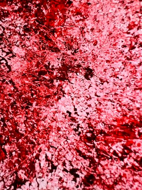 istock background blood red and white watercolor art 2149666415