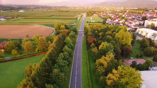 Aerial View of Road and Greenery