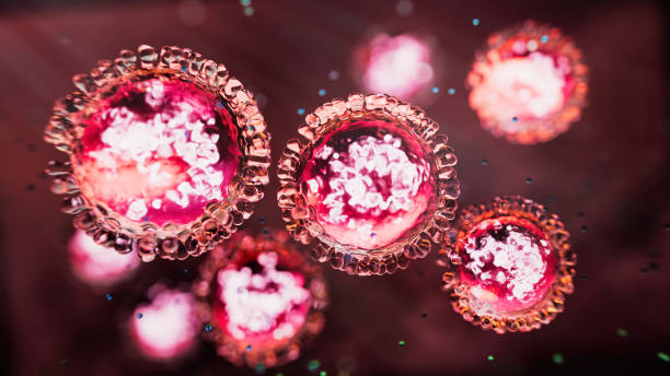 Measles morbillivirus structure Measles morbillivirus structure - 3d rendered image. Abstract background.
Disease X new pathogen cells.
Virus, pathogen, bacteria, biotechnology, bacterium, biolaboratory, new X disease, brain illness concept. Microscopic SEM (TEM) hologram view. Medical research technology. X chromosomes objects.
Synthetic biology project. measles stock pictures, royalty-free photos & images