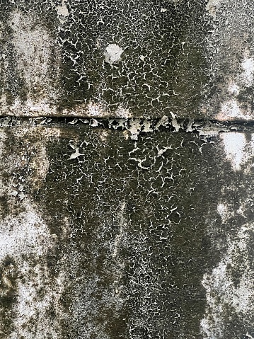 a photography of a concrete wall with a cracky surface.