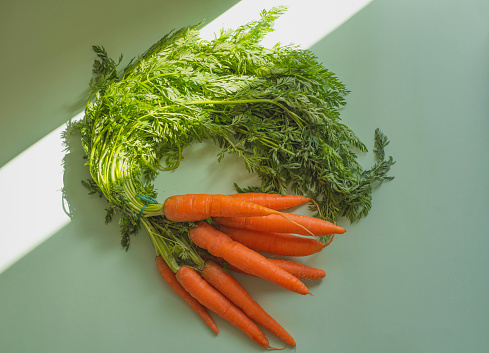 Fresh farmer's carrots  on a mint background, sun rays. Ecologically friendly products. Roots