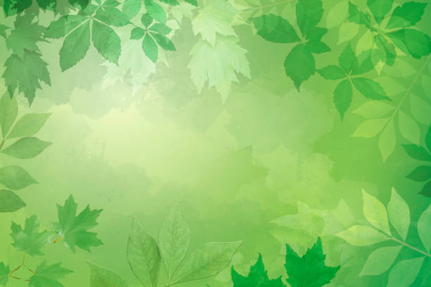Watercolor Background with Leaves Border - Spring  and Summer - copy space