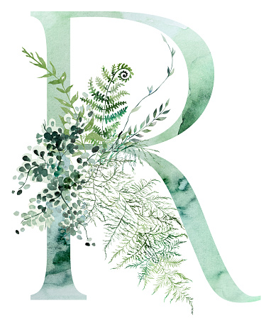 Green letter R with Watercolor fragile stems and tiny leaves, asparagus, ferns, and grasses, whimsical tender isolated illustration. Elegant Alphabet element for ethereal romantic wedding stationery