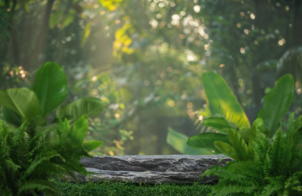 istock Stone tabletop podium floor in outdoors tropical garden forest blurred green leaf plant nature background.Natural product placement pedestal stand display,jungle paradise concept. 2149677093
