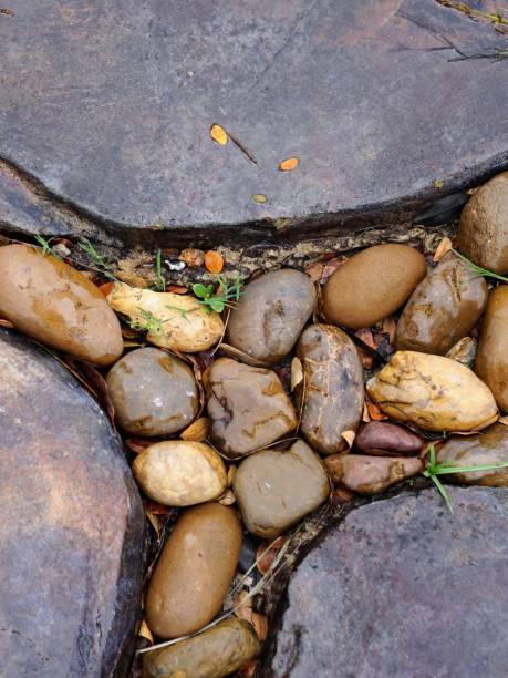 a photography of a stone path with rocks and grass growing between them.