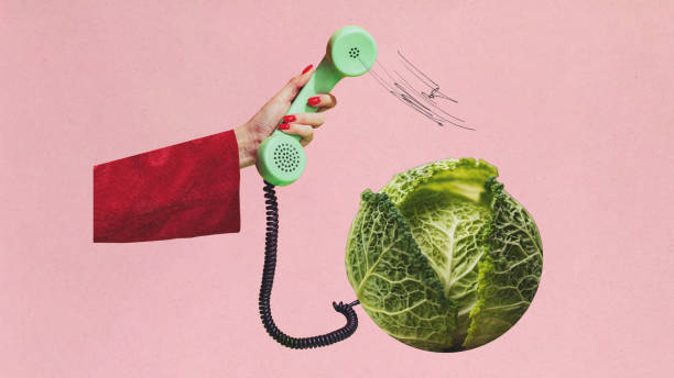 Contemporary art collage. Hand holding green telephone receiver connected to cabbage with sound lines on pink background. Communication with nature.