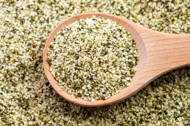 istock Hemp seeds in rustic wooden spoon close up. Peeled nutritious Cannabis sativa grains 2149679091