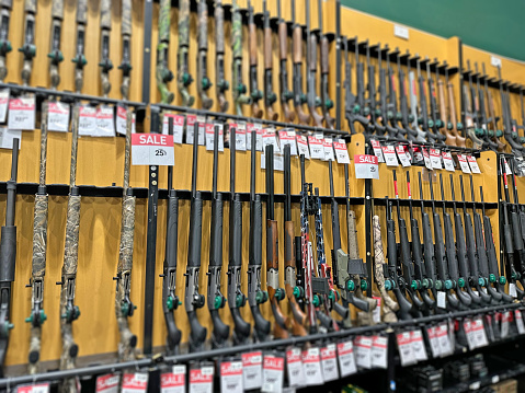 Gun Sale, Gun Show Loophole