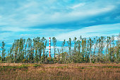 Heating plant chimney flue gas stack in red and white seen through treeline woodland