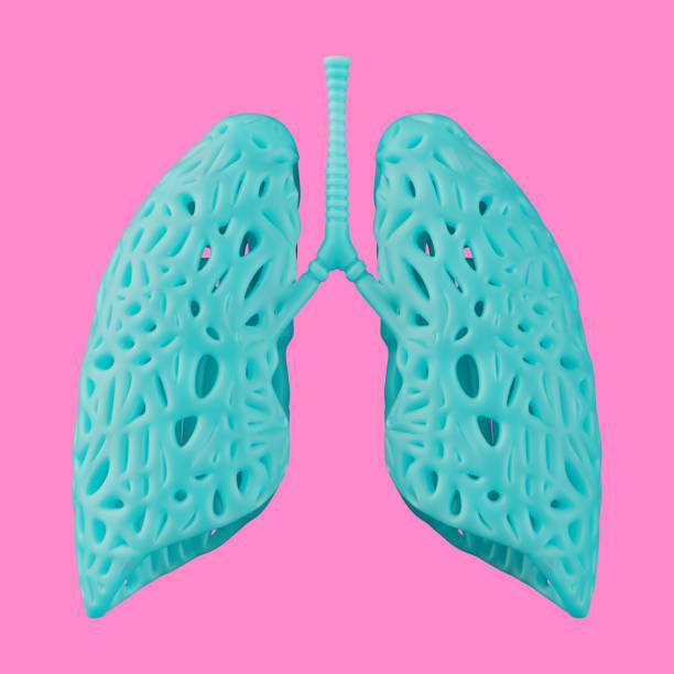 istock Blue Abstract Lungs Organ Model in Duotone Style. 3d Rendering 2149682920