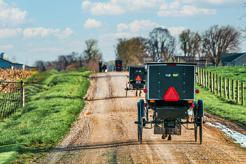 Amish buggies travel on a rugged gravel road in early spring.