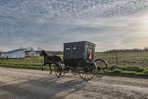 istock Amish Buggy in Early Morning 2149683198