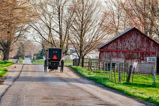 An Amish buggy travles a country road in early spring.