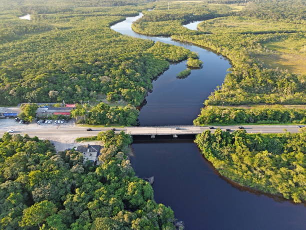 istock Itaguare river crossing atlactic forest in Bertioga, Brazil 2149685080