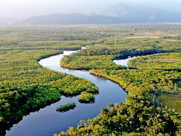 istock Itaguare river, Bertioga, Brazil crossing Atlanctic forest. 2149685096