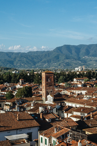 Panoramic view at sunset of the tower in italy, tuscany, lucca, Guinigi Tower
