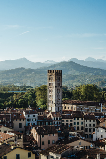 Tower Lucca Italy, Toscana province, sunset view, cityscape