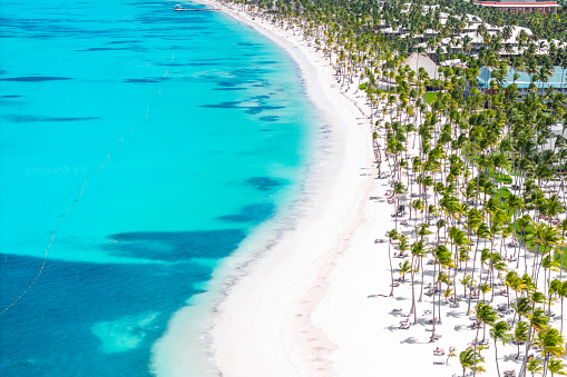 A stunning aerial view of a tropical beach with lush palm trees, showcasing the natural beauty of coastal and oceanic landforms. Ideal destination for leisure travel and urban design
