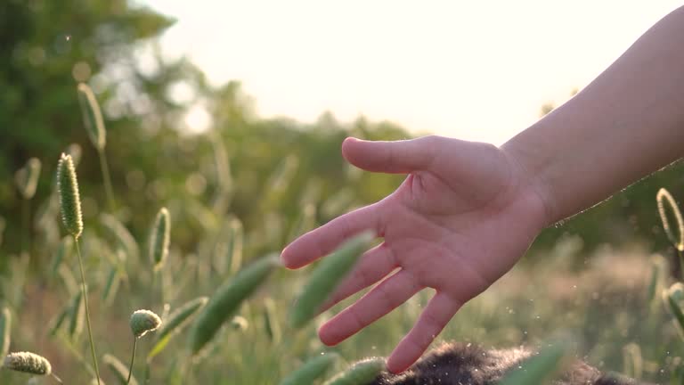 woman's hand touching grassy plains and plants