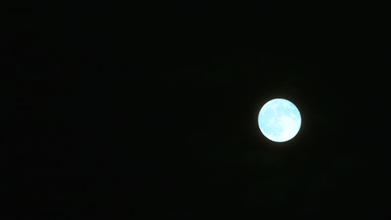 full blue flower moon on the night sky time lapse