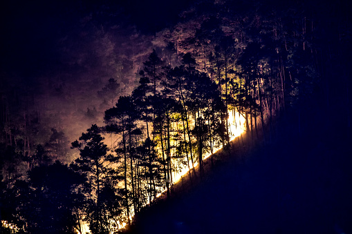 Forest fire at night time in shilong.