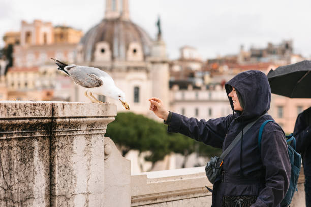istock Tourist feeding seagull in Italy 2149694750