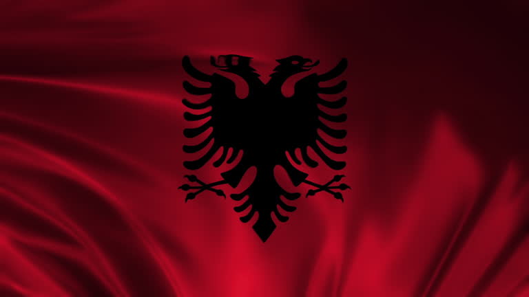 Albanian Eagle Flag in Vintage Style Vector Illustration