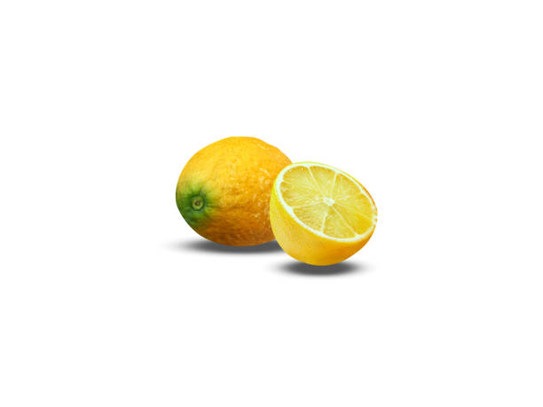 istock citron or Citrus medica 2149698443