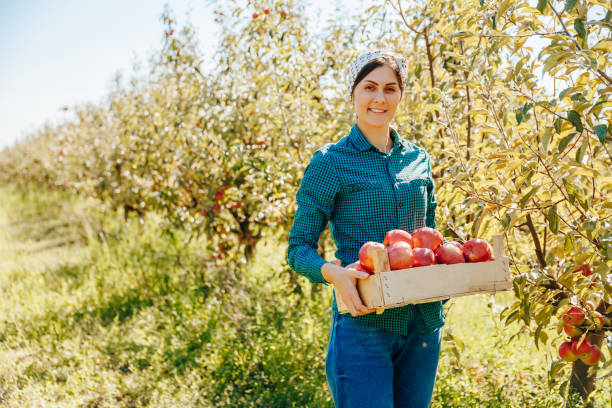 istock A female farmer with a warm smile poses for the camera while holding a box 2149699927