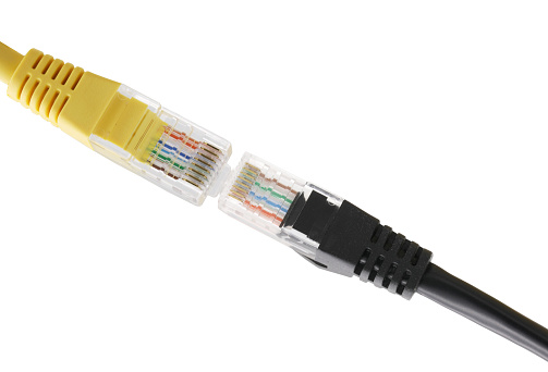 Black and yellow network cable with molded RJ45 plug isolated on white background.