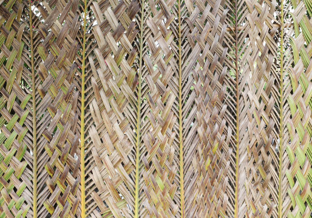istock Eco-friendly wall woven from a coconut leaf. Abstract nature background. 2149700068