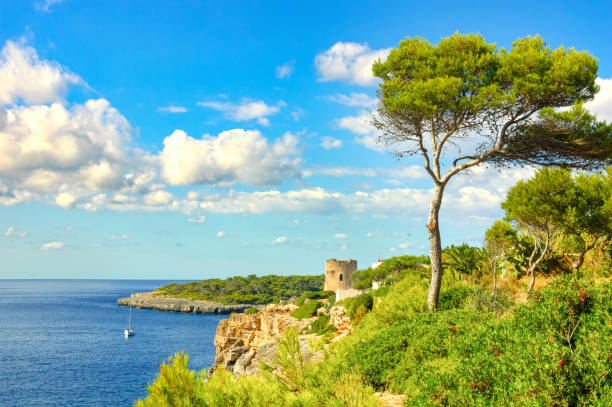 Coastal landscape in Mallorca with pine trees and old watchtower