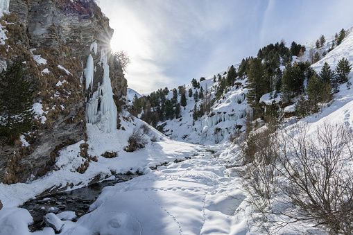 This photo shows the stunning scenery of winter. It features long icicles dangling from rough cliff edges and a stream, now turned to ice, winding through a valley blanketed in snow. The sunlight adds warmth to the chilly view, making the ice and snow glisten and showing off the plants peeking through the snow.