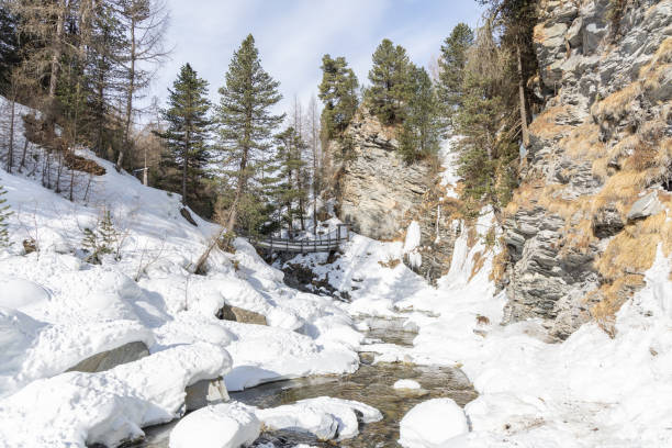 A short winter hike at the Rein in Taufers cross-country skiing centre in the beautiful Reintal valley - South Tyrol - Italy