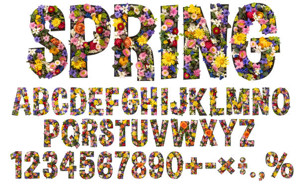 Flower font, a spring alphabet from real living flowers with a white background. Font Font collection for your unique decoration in the spring, summer and many conceptual ideas.