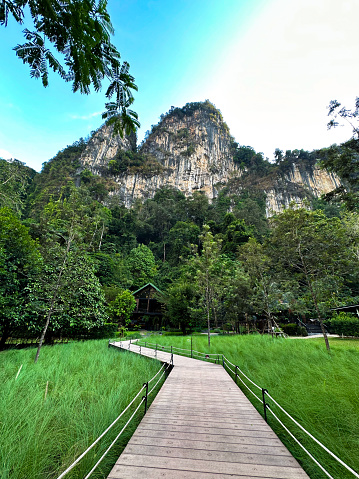 A wooden pathway leads to a secluded lodge nestled at the base of a majestic limestone cliff surrounded by lush tropical forest