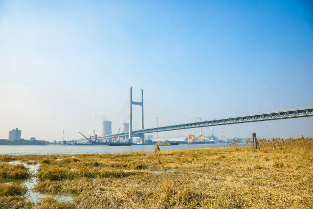 istock Shanghai Pudong New Area-Minpu Bridge 2149712590