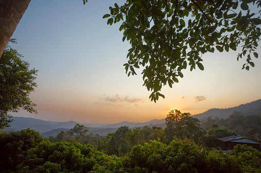 Woodland  and forest sunset panorama   around mountain  Phu Langka  in northeast Thailand, National Park in Bueng Kan.
