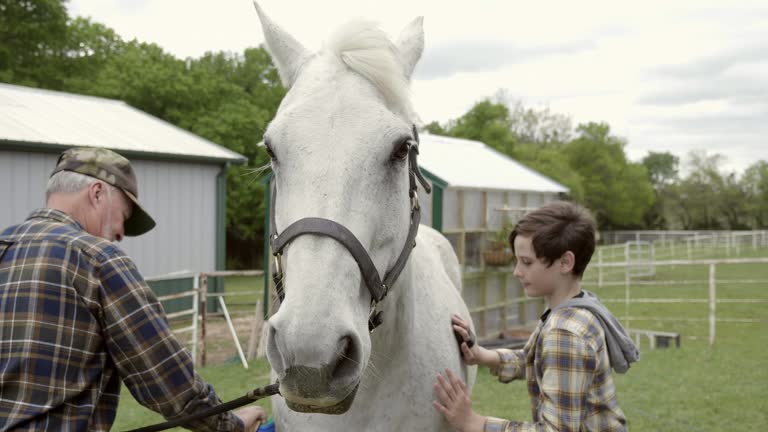 Elementary age boy helps grandpa care for horse on family farm