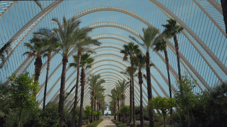 Palm trees grow indoors in modern botanical garden