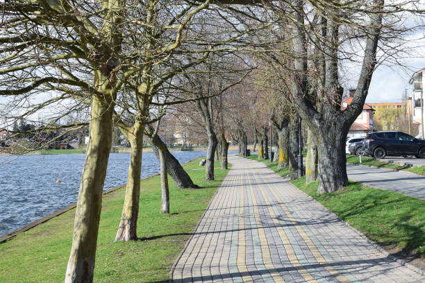 Lake, walkway next to the lake on a spring sunny morning.