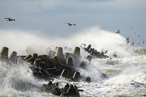 Storm at sea, high waves crashing against the concrete breakwaters of the port, high white splashes, seagulls flying, hurricane storm, power of nature