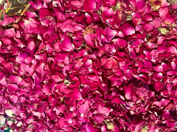 istock Roses red roses with green leaf roses closeup 2149724581